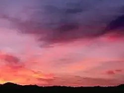 media_1907