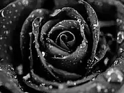 media_1893