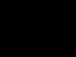 media_2182