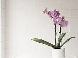 media_12957