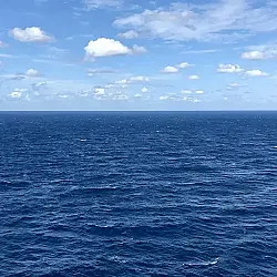 media_21504