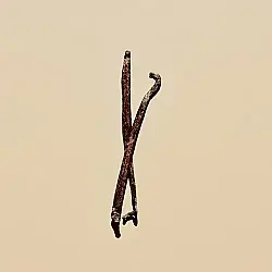 media_21502