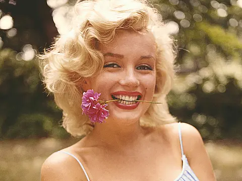 Marilyn 100 p235.jpeg