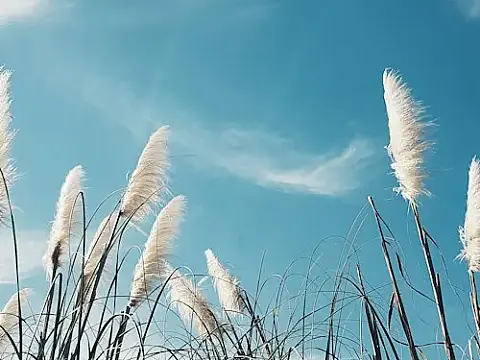 media_22110