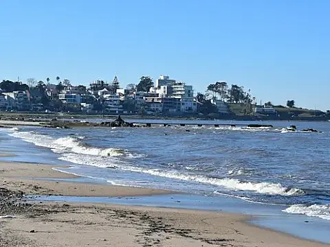 media_22362