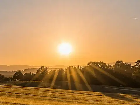 media_22745