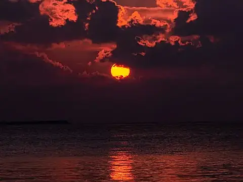 media_22744