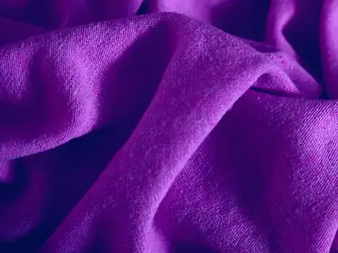 media_22732