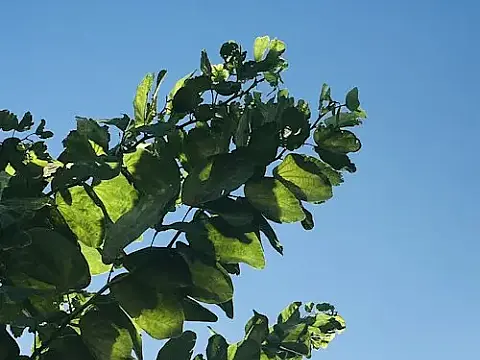 media_22739