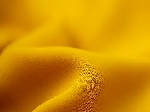 media_22729
