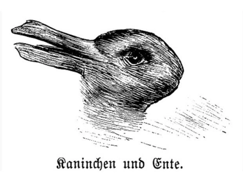 media_17908