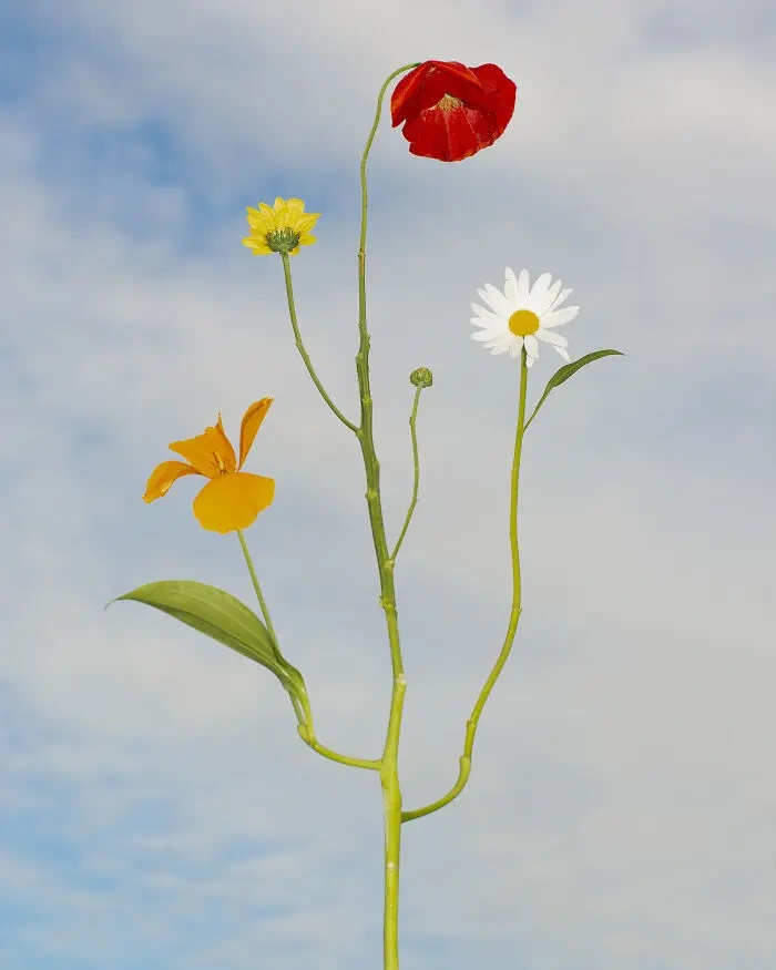 media_18397