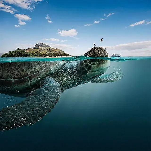 media_581