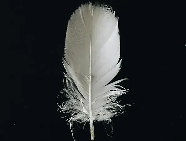 media_20453