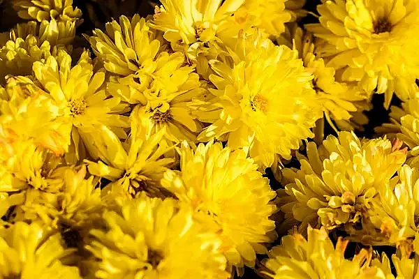 media_21756