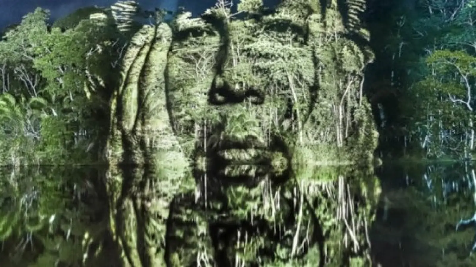 World’s First Street Art In The Amazonian Rainforest