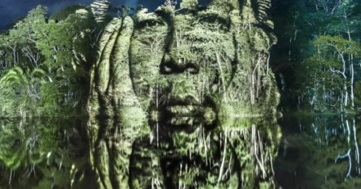 World’s First Street Art In The Amazonian Rainforest
