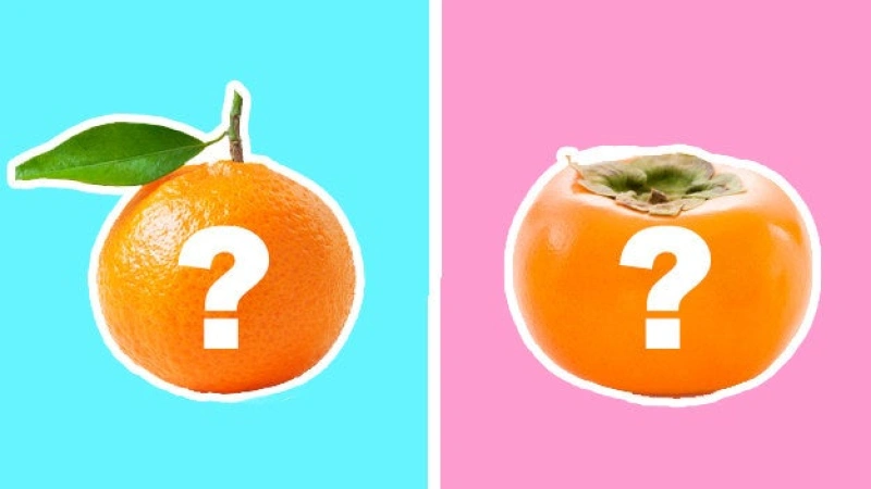 Can You Score 9/12 In This Increasingly Tricky Food Look-Alike Quiz?