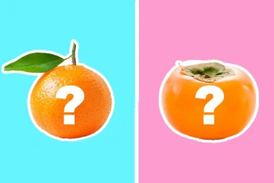 Can You Score 9/12 In This Increasingly Tricky Food Look-Alike Quiz?