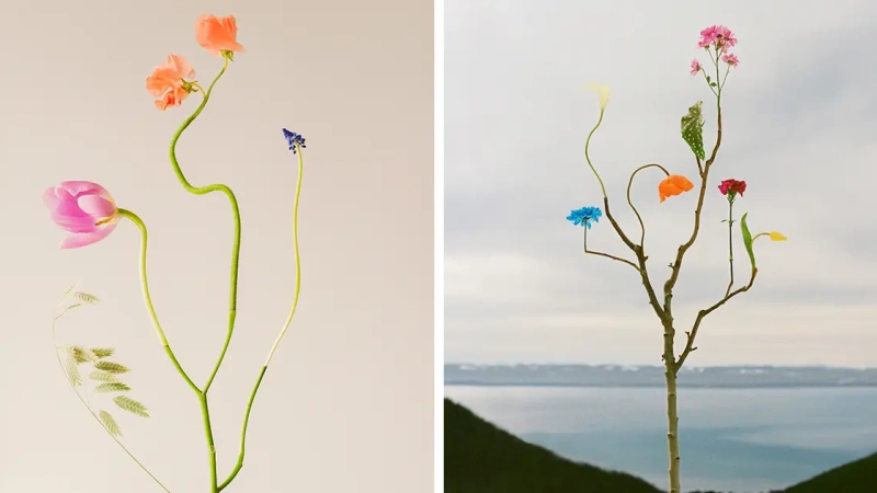 This Artist Made 26 Playful Freakabana-Inspired Compositions That Bring Flowers Into Unexpected Places