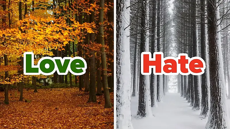 Quiz: We'll Guess Your Favorite & Least Favorite Season