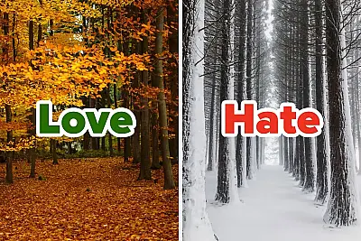 Quiz: We'll Guess Your Favorite & Least Favorite Season