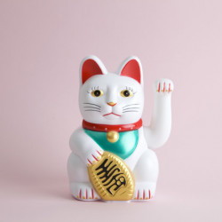 A lucky cat