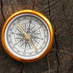 A compass