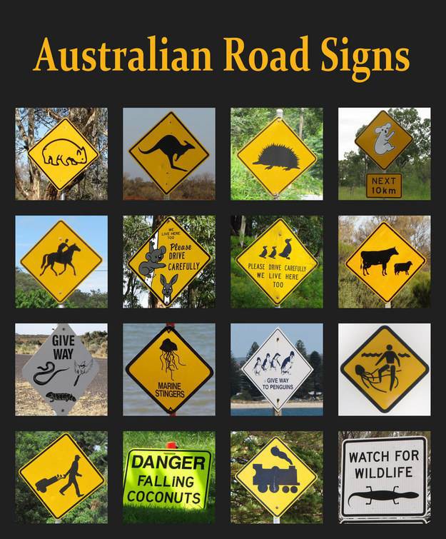 The dangers of driving generally.