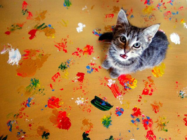 Artist Cat - Mini, Mouse, and Sabu