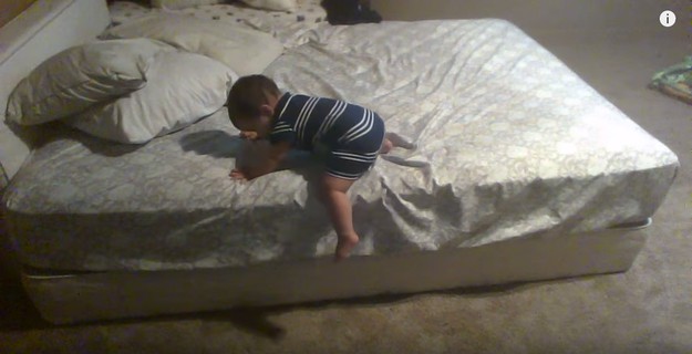 Baby senses danger below!