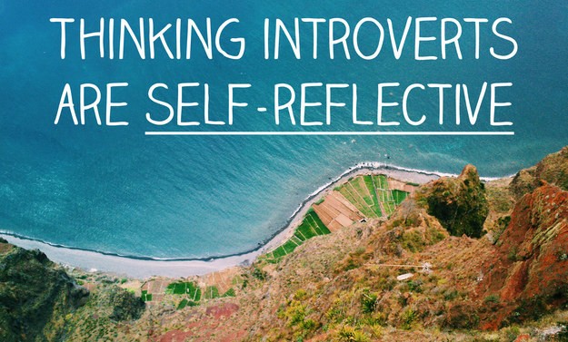 Thinking introversion applies to people who are very self-reflective.