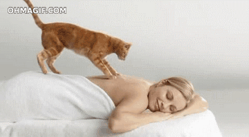 Cat masseuse