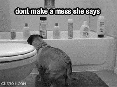 Rebellious Pug