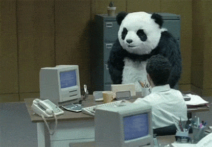 Office panda-monium