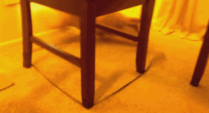 Corgi chasing leash