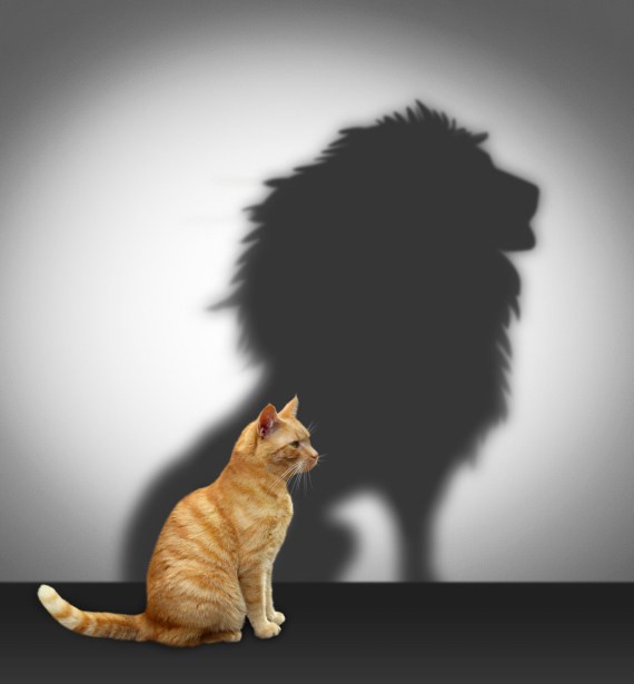 You are not as confident as most people believe you are