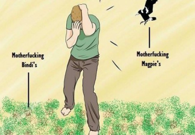 15 Problems That Prove Australia Is Batshit Insane