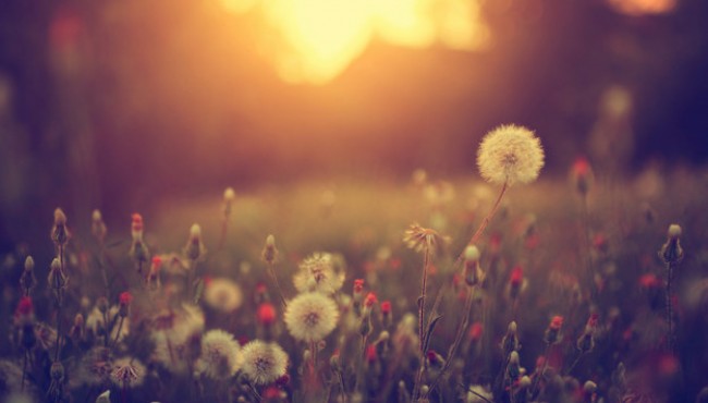This 8-Picture Test Will Reveal A Deep Truth About You