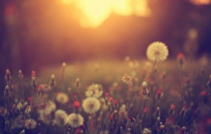 This 8-Picture Test Will Reveal A Deep Truth About You