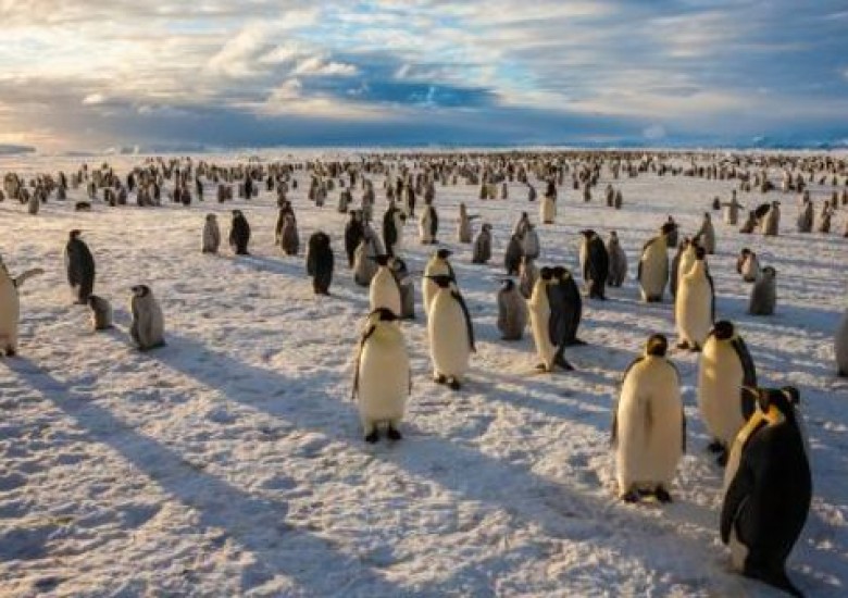 Good News For Penguins And Whales: The Antarctic Ross Sea Has Just Become The World's Largest Marine Reserve!