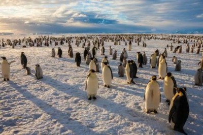 Good News For Penguins And Whales: The Antarctic Ross Sea Has Just Become The World's Largest Marine Reserve!
